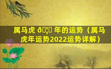 属马虎 🦁 年的运势（属马虎年运势2022运势详解）